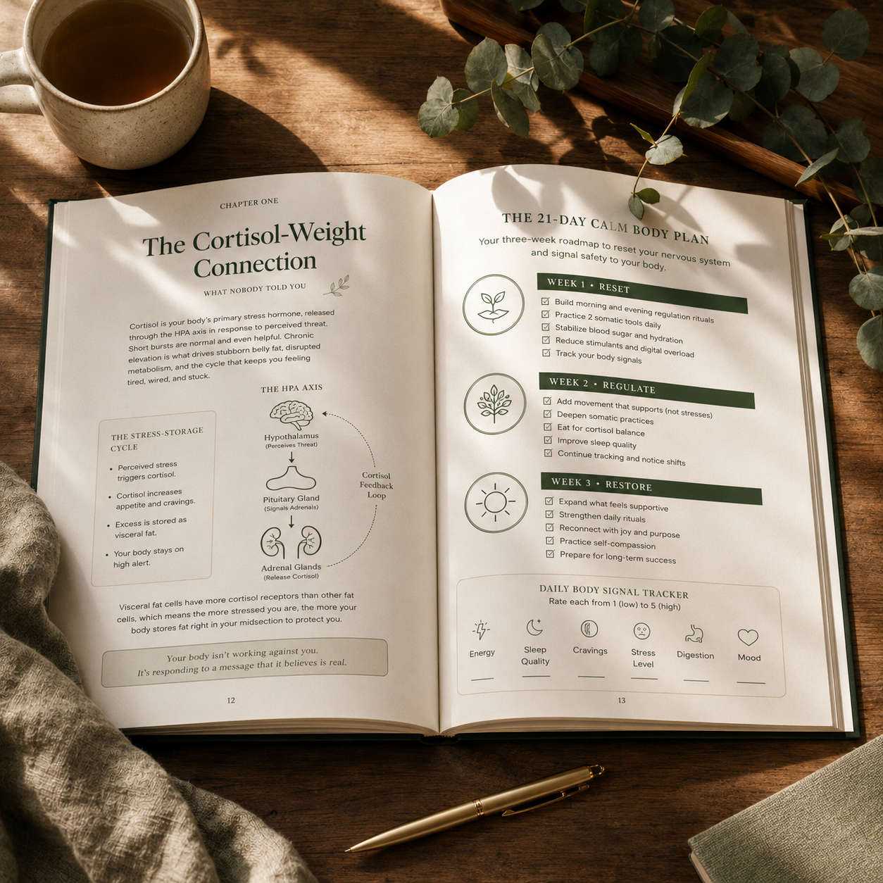 Your Body Heard Every Hard Year: The Rooted Woman Stress Weight & Somatic Reset Guide